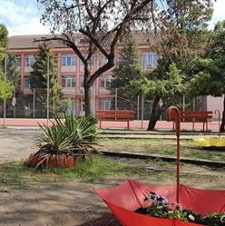 Şcoala Gimnazială nr. 13