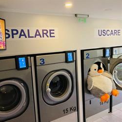 Laundry Clean & Cheap