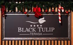 Terasa Black Tulip