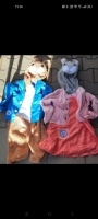 Costum