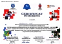 certificat-excelenta-toni-tabaranu-iasi-festival-international-sport-tineret-2023