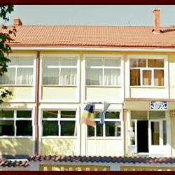 Şcoala Gimnazială "Gheorghe Brăescu"