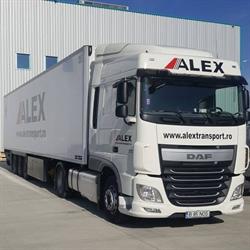Alex International