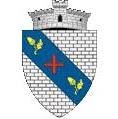 Primăria comunei Botoşana