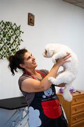 Frizerie Canina V&M