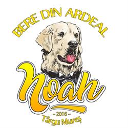 BERE NOAH