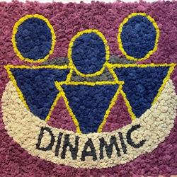 SC Dinamic SRL