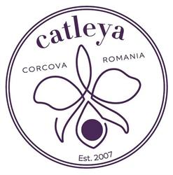 Domeniu Catleya - crama