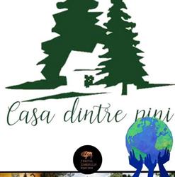 Casa dintre Pini