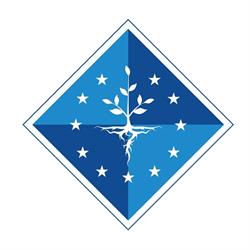 Centrul Euro-Atlantic pentru Rezilienţă