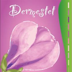 Dermatolog tratament laser - Dermestet