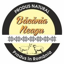 Buric de Golesti Neagu