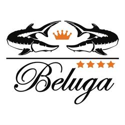Pensiunea Beluga