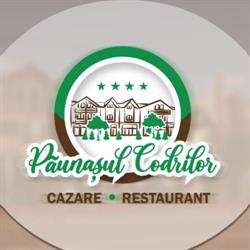 Vila Păunaşul Codrilor
