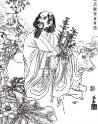 Shennong