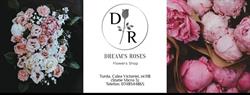 Dream's Roses