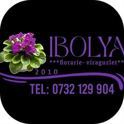 Floraria Ibolya Viraguzlet