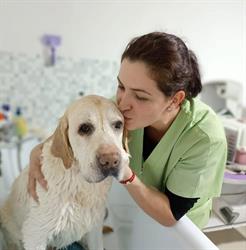 MushyPet Frizerie Canina