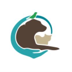 Cabinet Veterinar Valu Dr Neagu Rebeca