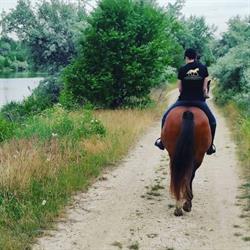 Horseland Năvodari