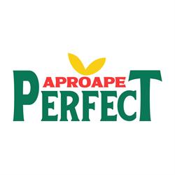 Aproape Perfect