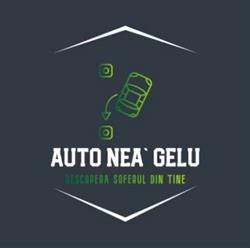 Scoala De Soferi Auto Nea' Gelu