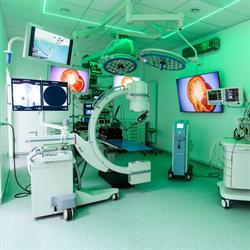 Centru de Endoscopie si Chirurgie Minim Invaziva Veterinara