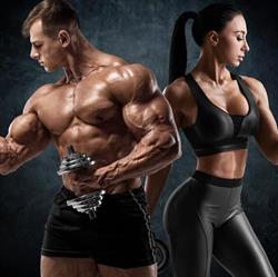 Elit Fit Force