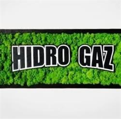 Hidro Gaz Grup