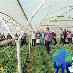 Hortilia Group
