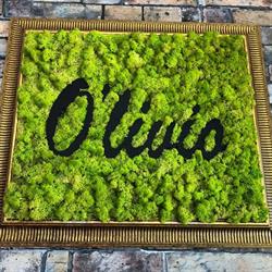 Olivio Fast Food
