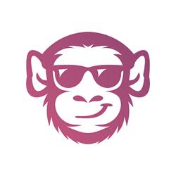 Zoo Digital - Agenţie SEO şi Dezvoltare Web