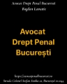 Avocat drept penal bucuresti Bogdan Lamatic