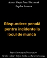 Răspundere penală pentru incidente la locul de muncă