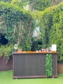 Lemonade Bar