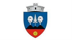 Primăria Sadova