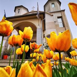 Biserica Naşterea Maicii Domnului