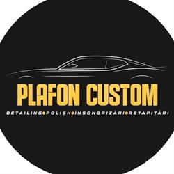 Plafon Custom - Retapitare Plafoane auto si Fete de usi