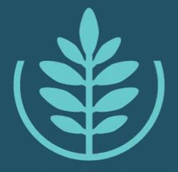 Wellmind - Centru de Sănătate Mintală