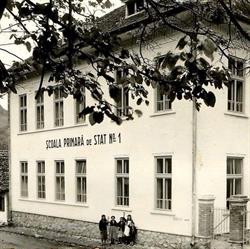 ŞCOALA CLASELE I-VIII RÂU SADULUI