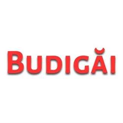 Budigai