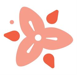 Trillium Media