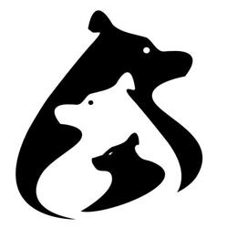 Creative Bear