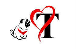 TOTOVET