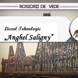 Liceul Tehnologic ,,Anghel Saligny
