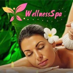 Wellness Spa