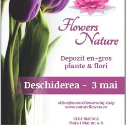 Nature Flowers Cluj