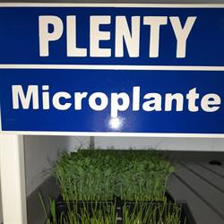 Plenty Microplante