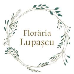 Floraria Lupascu