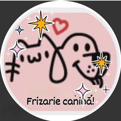 Pet Salon Ebay - Frizerie canina